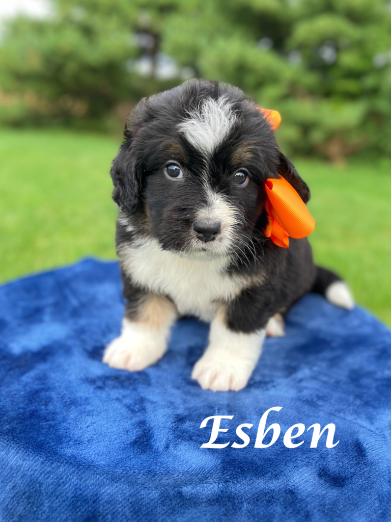 Esben